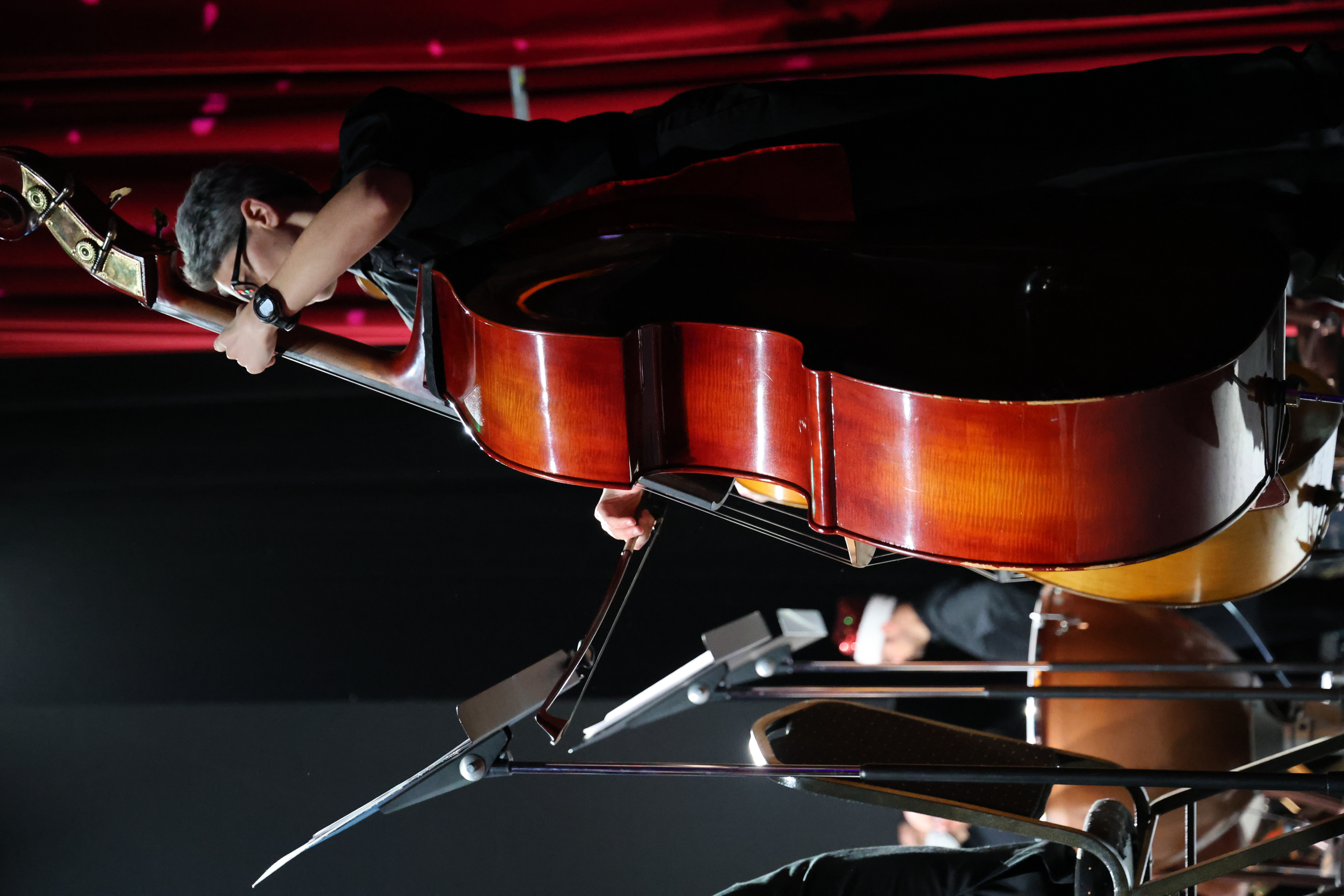 Photograph of a bassist performing in an orchestra.